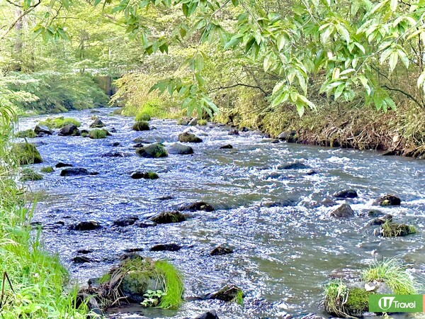 東京近郊輕井澤一日遊（韋珈萱 攝）
