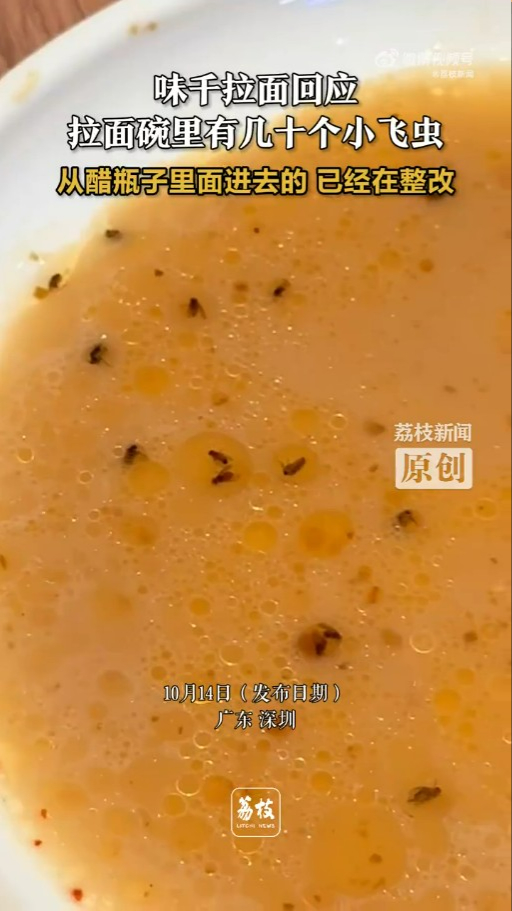 深圳味千拉麵湯底佈滿飛蟲 員工稱1樣調味料惹禍：當晚冇放雪櫃 