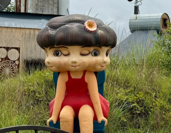 荒野之國(圖片:小紅書)