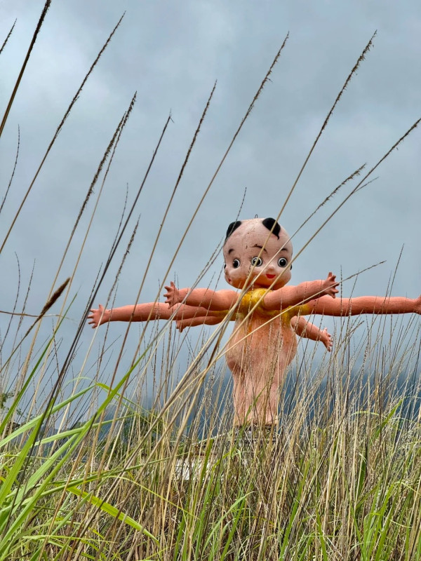 荒野之國(圖片:小紅書)