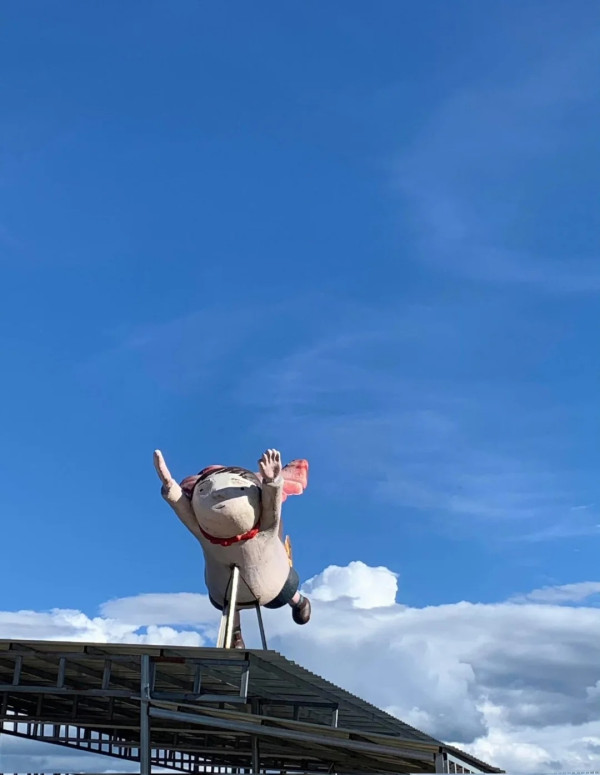 荒野之國(圖片:小紅書)