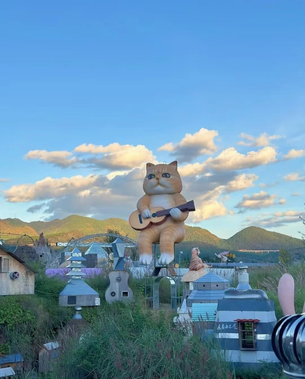 荒野之國(圖片:小紅書)