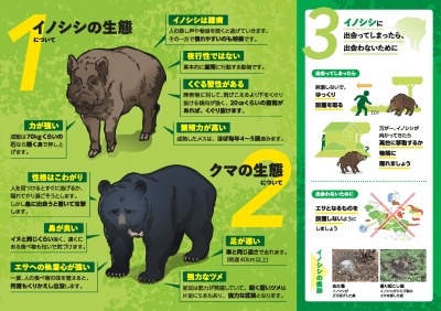 日本溫泉酒店驚見野熊出沒！50名旅客一度受困 溫泉設施關閉 