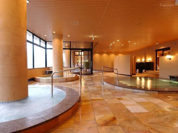 日本溫泉酒店驚見野熊出沒！50名旅客一度受困 溫泉設施關閉 