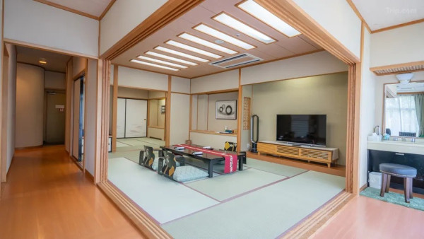 日本溫泉酒店驚見野熊出沒！50名旅客一度受困 溫泉設施關閉 