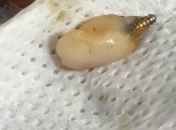 (圖片:小紅書) (圖片:小紅書)