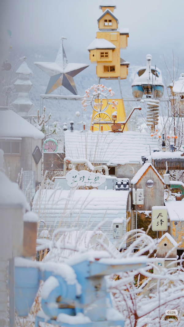 荒野之國(圖片:小紅書)