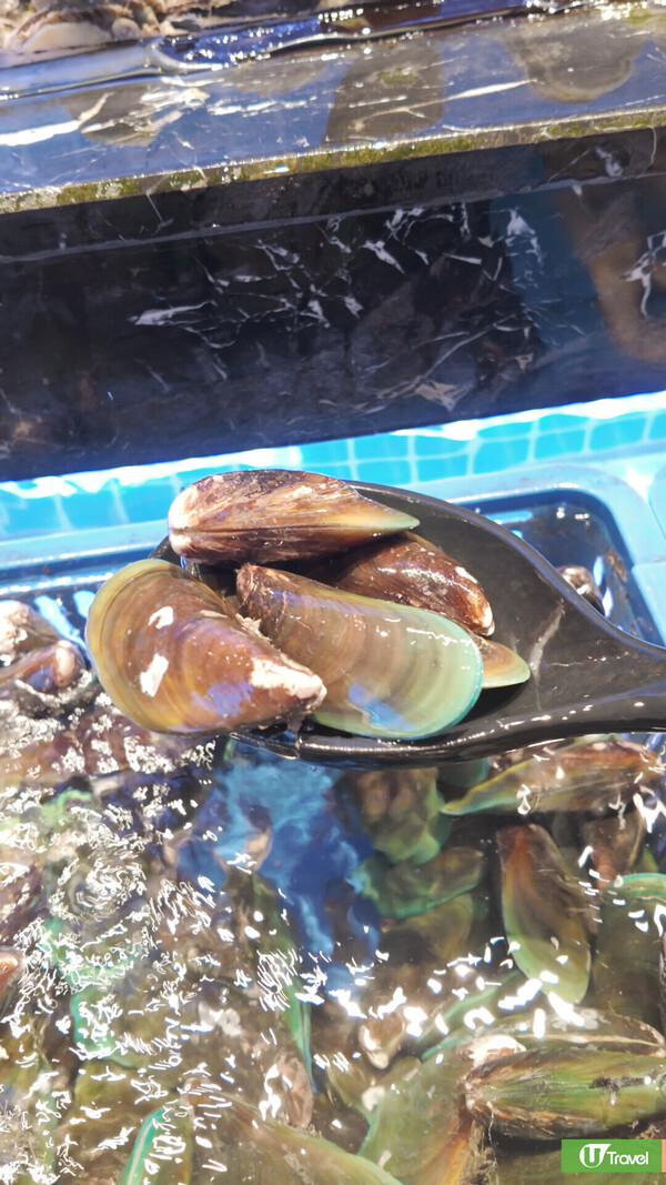 開箱深圳寶安萬豪萬楓酒店  人均0住高級房！歎自助晚餐+早餐+1小時按摩 