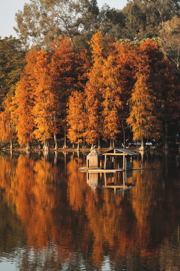 麓湖公園(圖片來源:小紅書@一朵沛纭) 麓湖公園(圖片來源:小紅書@一朵沛纭)