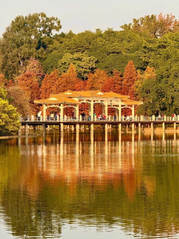 麓湖公園(圖片來源:小紅書@甜栗泡泡苏) 麓湖公園(圖片來源:小紅書@甜栗泡泡苏)