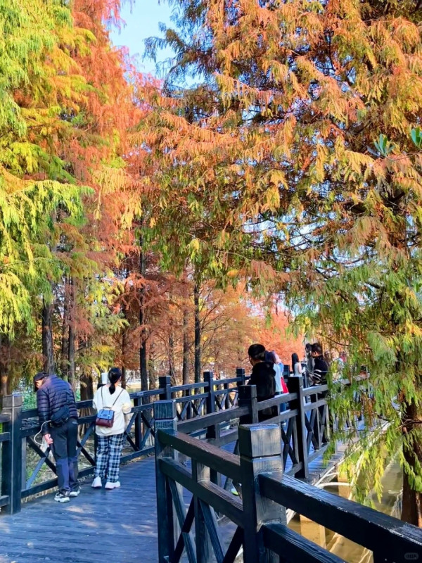 海珠湖公園(圖片來源:水煮Cheris小莹子) 海珠湖公園(圖片來源:水煮Cheris小莹子)