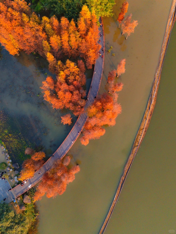 鳳凰湖(圖片來源:Mini淑儿) 鳳凰湖(圖片來源:Mini淑儿)