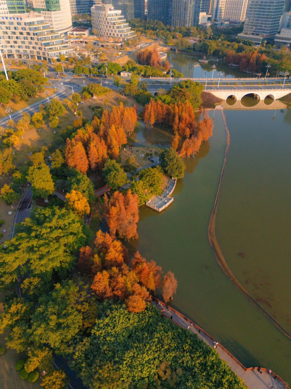 鳳凰湖(圖片來源:Mini淑儿) 鳳凰湖(圖片來源:Mini淑儿)