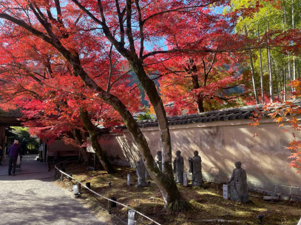 寶嚴院。圖片來源：weathernews.jp