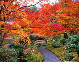 寶嚴院。圖片來源：WalkerPlus