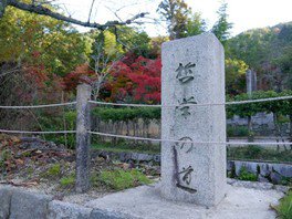 哲學之道。圖片來源：WalkerPlus