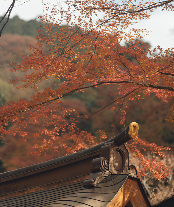 貴船神社。圖片來源：貴船神社官網