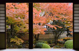 京都御苑。圖片來源：WalkerPlus