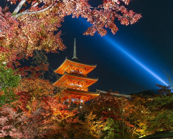 清水寺。圖片來源：WalkerPlus