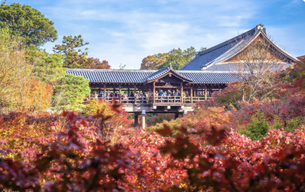 東福寺。圖片來源：Klook