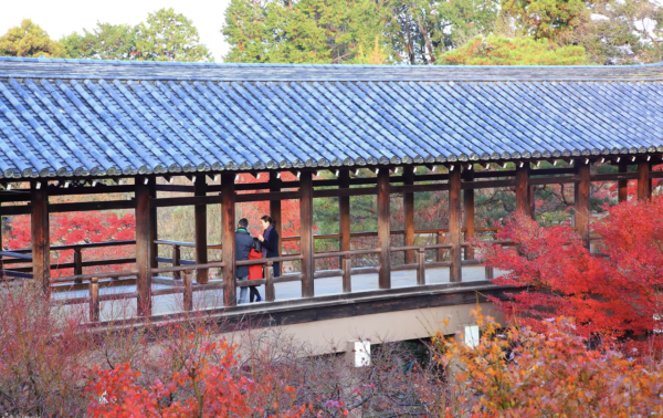 東福寺。圖片來源：Klook