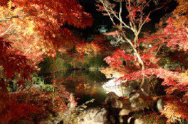 永觀寺。圖片來源：WalkerPlus