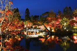 永觀寺。圖片來源：WalkerPlus