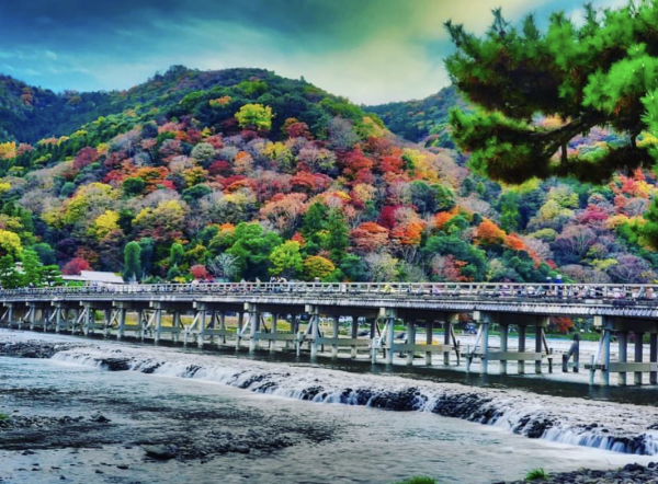 渡月橋。圖片來源：IG@travelwithmikeanna