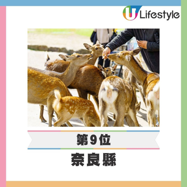 2025日本都道府縣魅力排名|東京跌幅最大!北海道連續17年奪冠