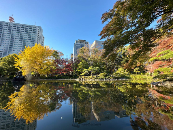日比谷公園。圖片來源：weathernews.jp