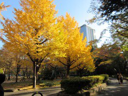 日比谷公園。圖片來源：WalkerPlus