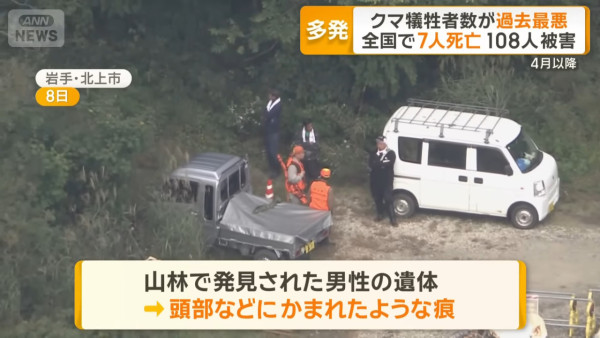 日本今年熊襲擊數字創新高！ 網民製熊出沒地圖揭只有兩地區未「淪陷」 