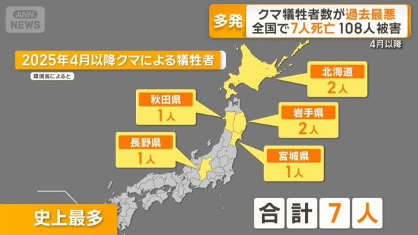 日本今年熊襲擊數字創新高！ 網民製熊出沒地圖揭只有兩地區未「淪陷」 
