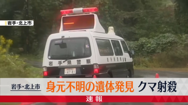 日本今年熊襲擊數字創新高！ 網民製熊出沒地圖揭只有兩地區未「淪陷」 