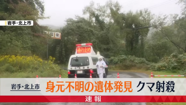 日本今年熊襲擊數字創新高！ 網民製熊出沒地圖揭只有兩地區未「淪陷」 