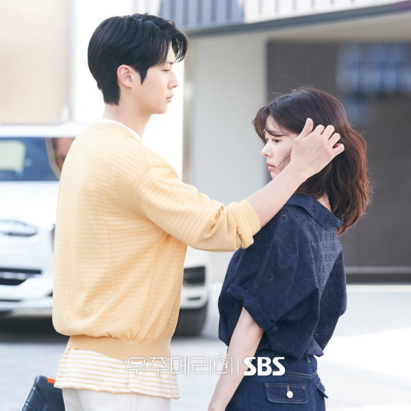 你的MBTI人格是什麼顏色？16型人格代表色對應解析 INTJ玄樟棕、ENFJ楝花紫【附象徵特質】