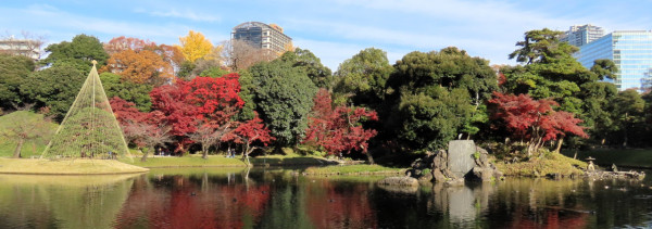  小石川後樂園。圖片來源：WalkerPlus