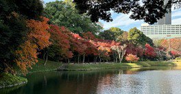  小石川後樂園。圖片來源：WalkerPlus