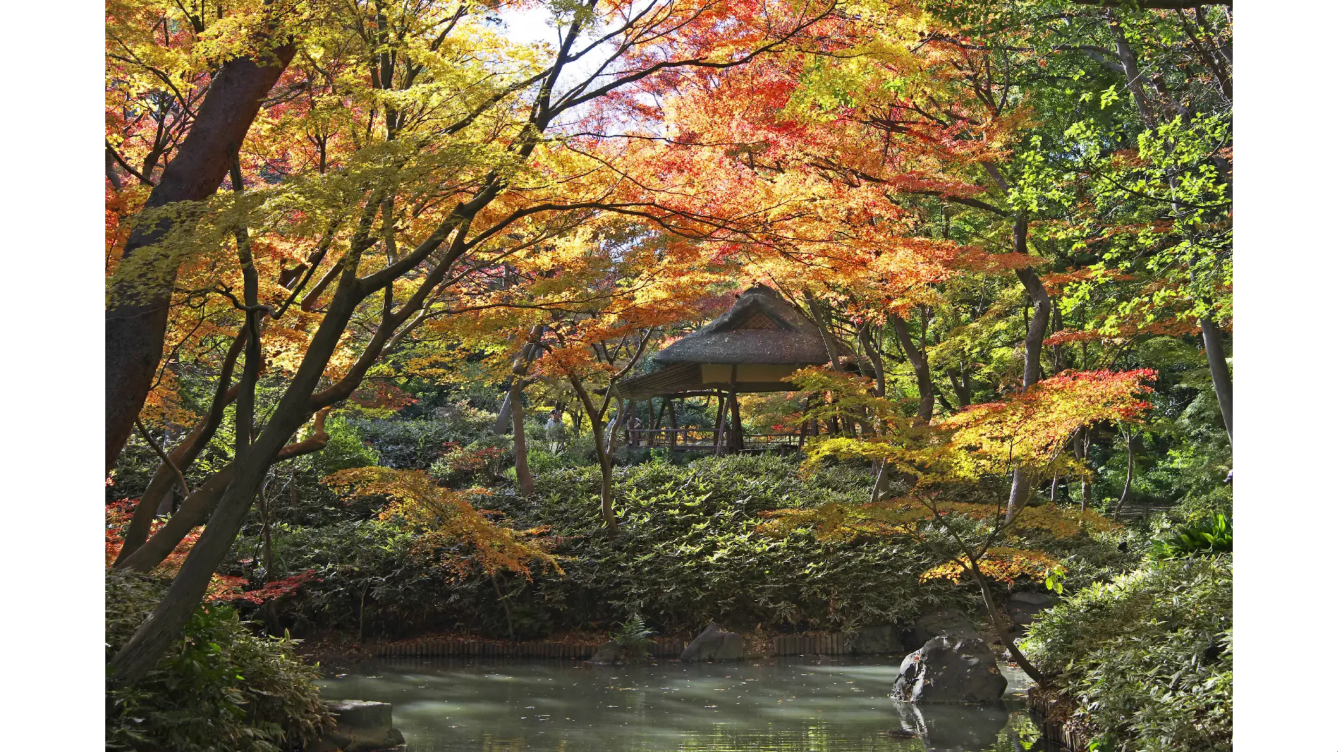 六義園。圖片來源：weathernews.jp