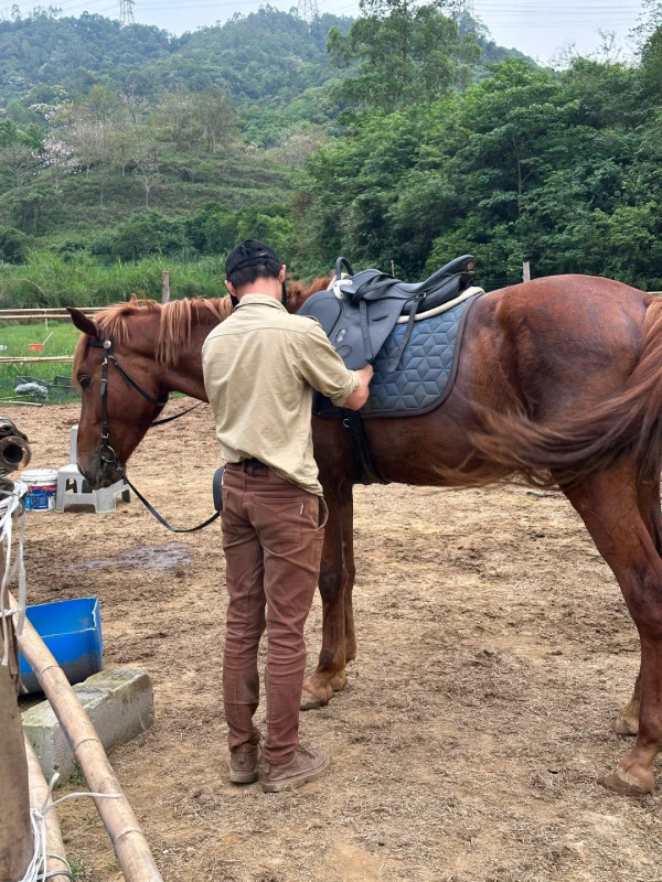 深圳騎馬羅田森林公園野外騎馬體驗(圖片:小紅書)