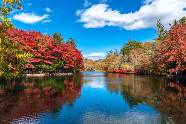 輕井澤。圖片來源：KKday