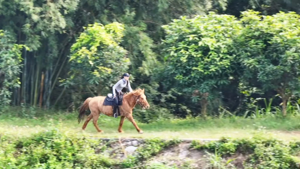 深圳騎馬羅田森林公園野外騎馬體驗(圖片:小紅書)