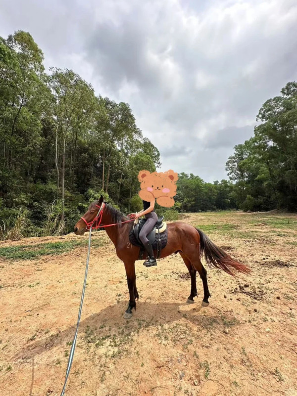 深圳騎馬羅田森林公園野外騎馬體驗(圖片:小紅書)