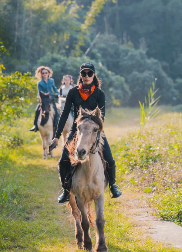 深圳騎馬羅田森林公園野外騎馬體驗(圖片:小紅書)