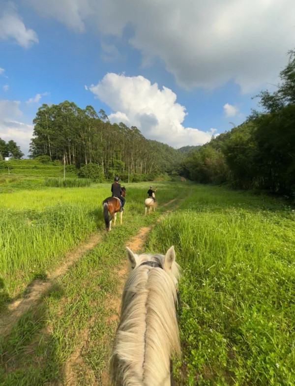 深圳騎馬羅田森林公園野外騎馬體驗(圖片:小紅書)