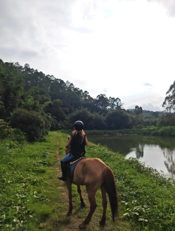 深圳騎馬羅田森林公園野外騎馬體驗(圖片:小紅書)