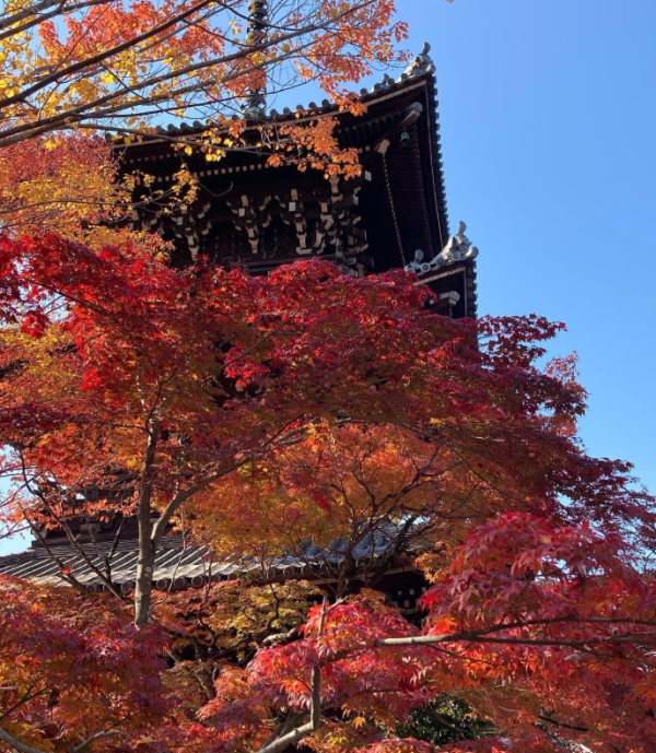 (圖片: #湯どうふ竹むら IG) (圖片: #湯どうふ竹むら IG)