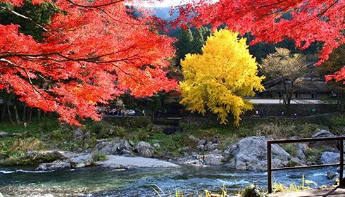 御岳溪谷。圖片來源：Visit Japan