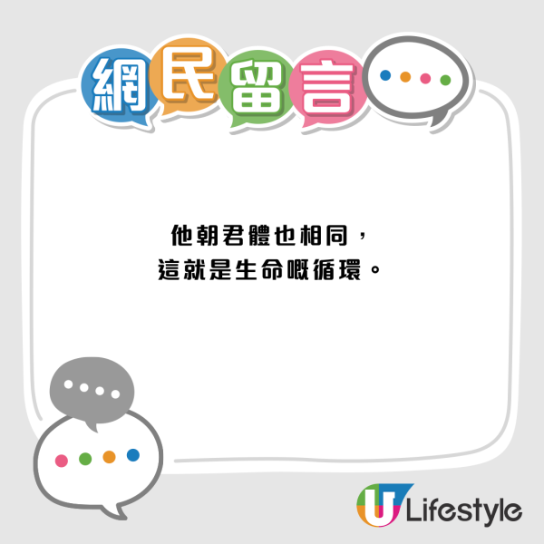 慎入！梧桐寨箭豬屍體湧「神秘橙蟲」漁護署揭真身：可能帶致病原切勿觸摸