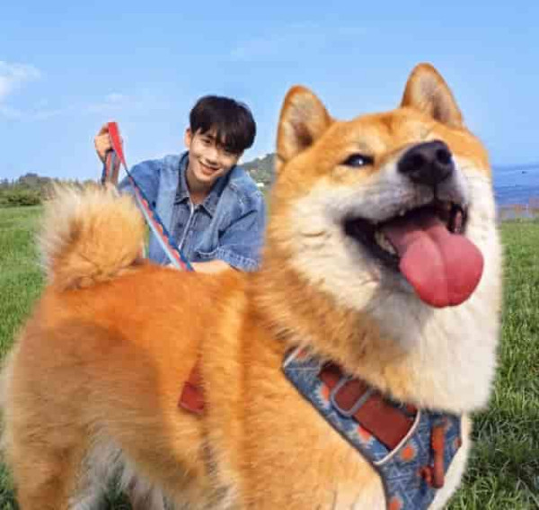 最平摺機 HUAWEI nova Flip S 登場 SGS 認證 120 萬次「摺極唔爛」入門價僅 ￥3,488